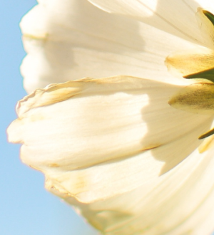 Untitled (3000 × 500 px).png