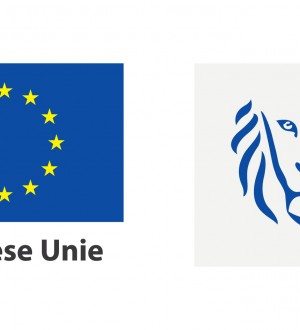Logo ESF + Logo Europese Unie + Logo Vlaanderen is werk